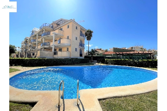 Apartment-in-Denia-Las-Marinas-zur-Ferienvermietung-T-0715-1.webp