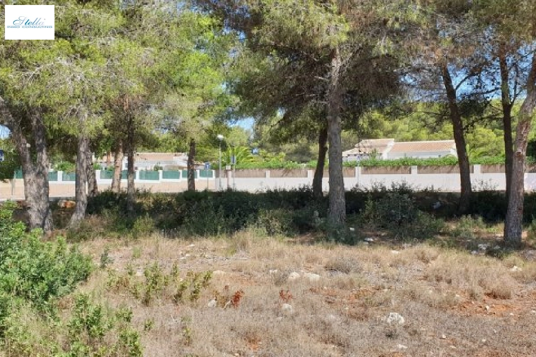 участок под строительство жилья in Javea на продажу, жилая площадь 1131 м², поверхности суши 1131 м², ref.: BS-3974864-1