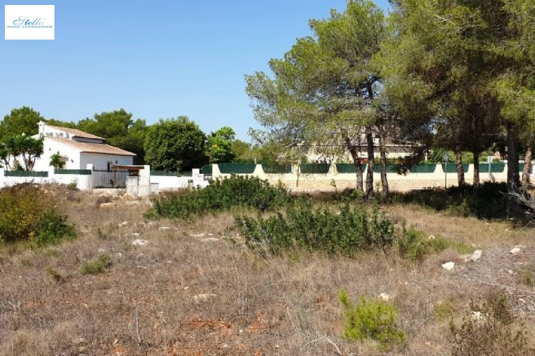 участок под строительство жилья in Javea на продажу, жилая площадь 1131 м², поверхности суши 1131 м², ref.: BS-3974864-2