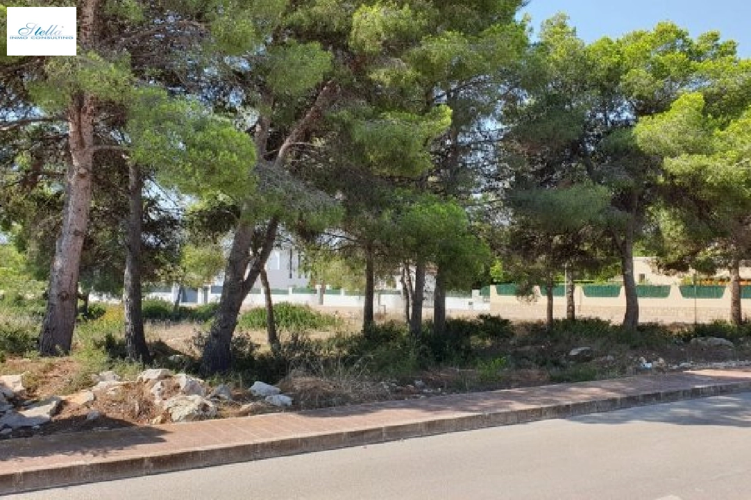 участок под строительство жилья in Javea на продажу, жилая площадь 1131 м², поверхности суши 1131 м², ref.: BS-3974864-3