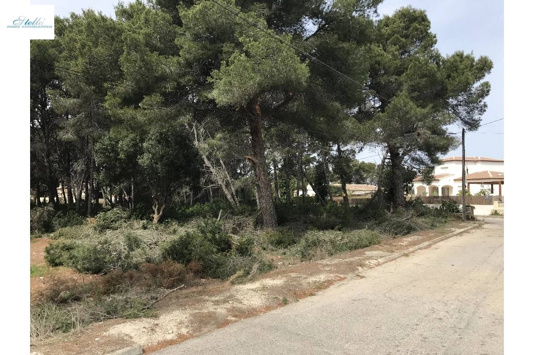 участок под строительство жилья in Javea на продажу, жилая площадь 3514 м², ref.: BS-5275788-7