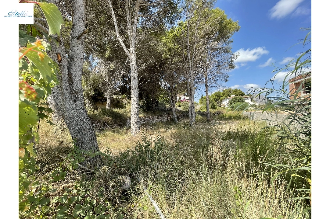 участок под строительство жилья in Javea на продажу, жилая площадь 1642 м², ref.: BS-5923950-8