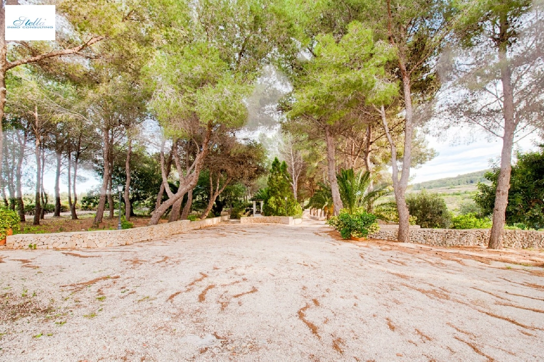 загородный дом in Gata de Gorgos(Campo) на продажу, жилая площадь 450 м², поверхности суши 100000 м², 4 спальни, 2 ванная, ref.: AM-11846DA-3700-21
