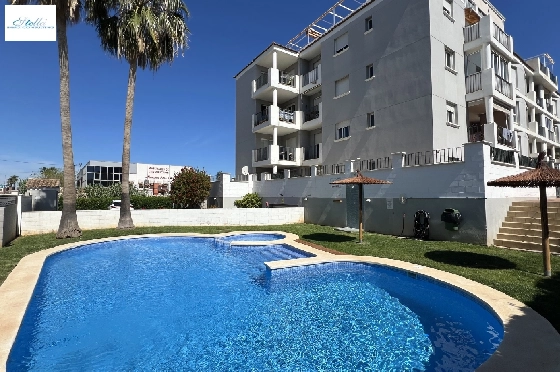 Apartment-in-Denia-zur-Ferienvermietung-T-0324-1.webp