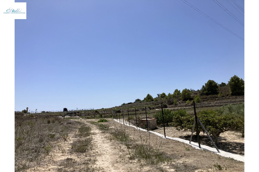 участок под строительство жилья in Benissa(Partida Berdica) на продажу, поверхности суши 14000 м², ref.: CA-G-1793-AMB-10