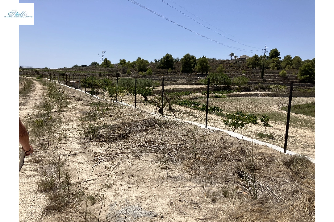 участок под строительство жилья in Benissa(Partida Berdica) на продажу, поверхности суши 14000 м², ref.: CA-G-1793-AMB-3