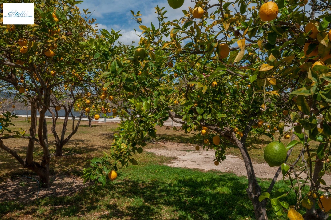 загородный дом in Teulada(Zona de la playa) на продажу, жилая площадь 238 м², aircondition, поверхности суши 14129 м², 5 спальни, 4 ванная, pool, ref.: COB-3457-10535-26