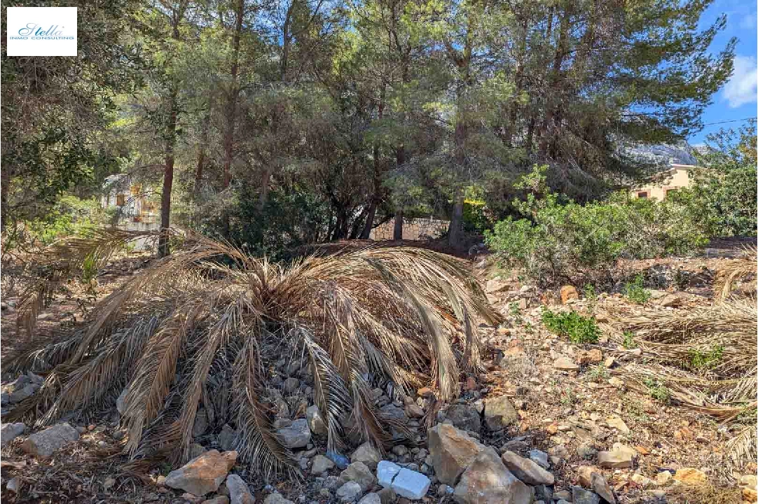 участок под строительство жилья in Denia(Don Quijote) на продажу, поверхности суши 3034 м², ref.: BP-8192DEN-10