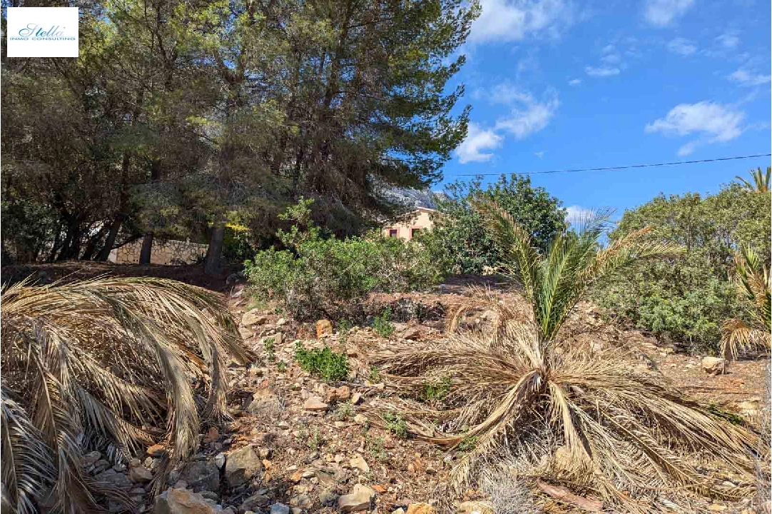 участок под строительство жилья in Denia(Don Quijote) на продажу, поверхности суши 3034 м², ref.: BP-8192DEN-11